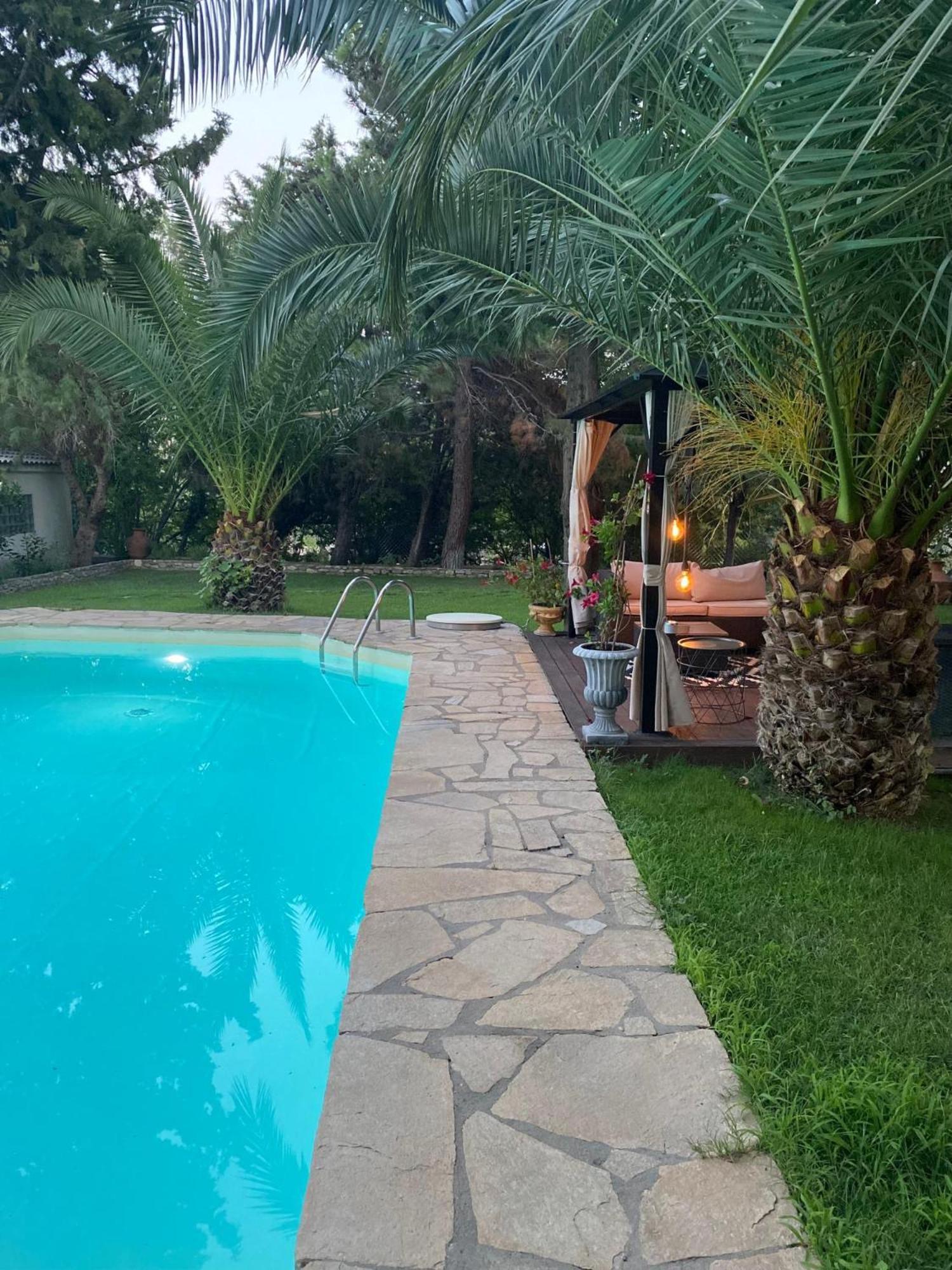 Villa Euphoria Theológos Exterior foto