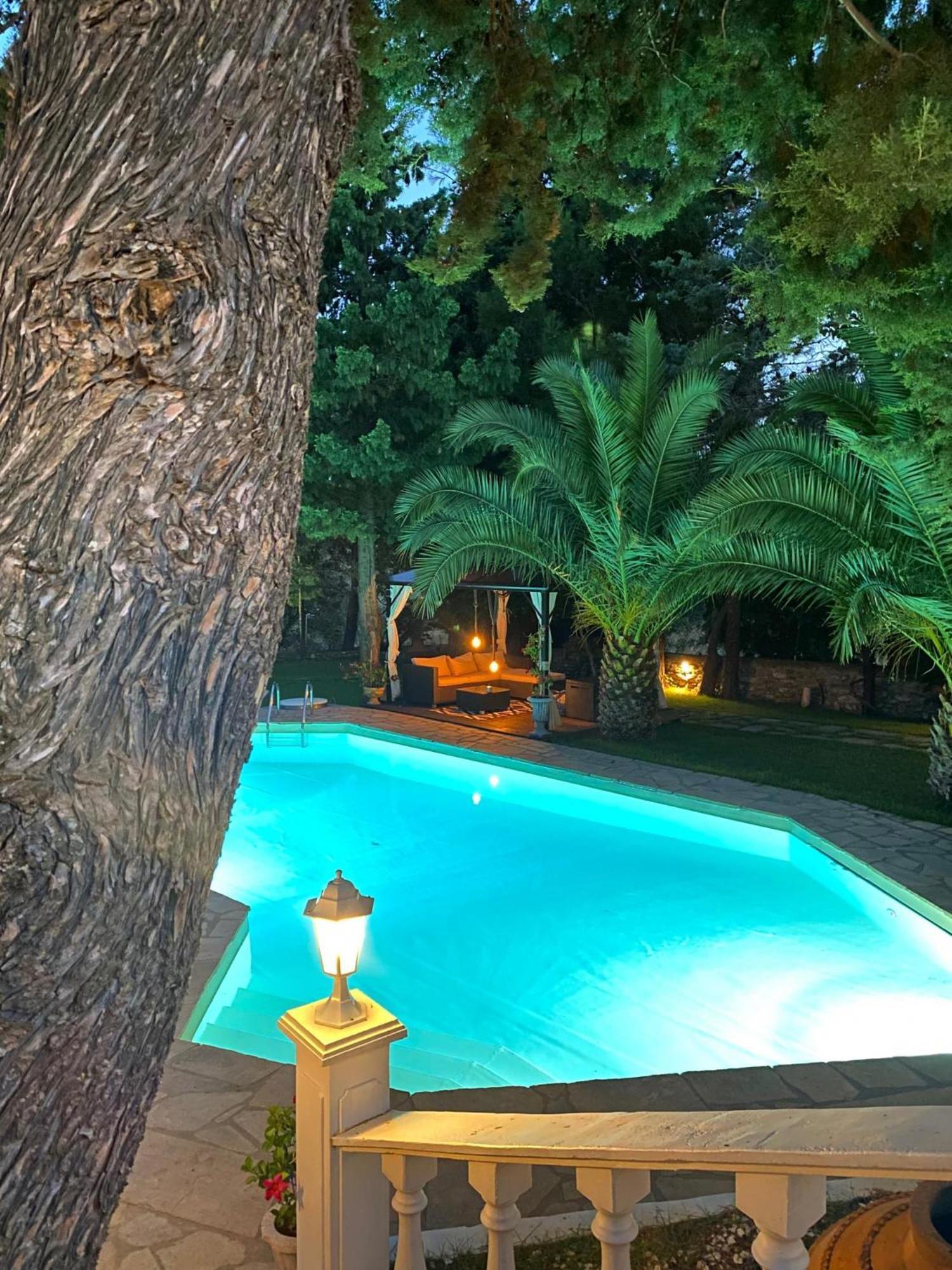 Villa Euphoria Theológos Exterior foto